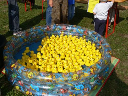 50 Jahre Ruderclub Roßleben (Sept. 2009) 