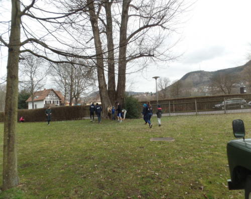 Rudererlauf Jena 2016 