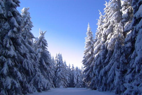 Skilager Oberhof 2003