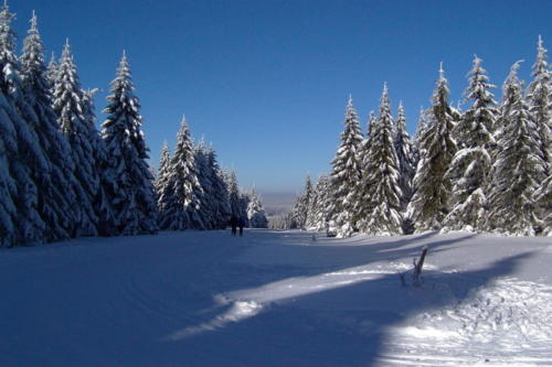 Skilager Oberhof 2003