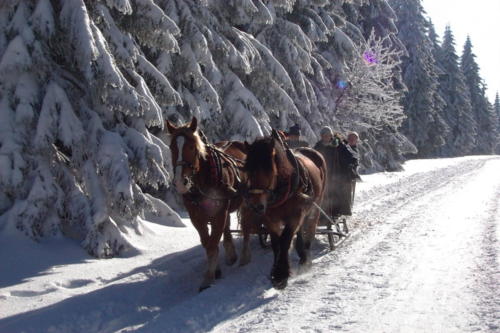 Skilager Oberhof 2003