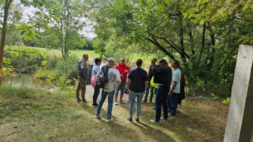 60ec0898-f877-4b67-9519-5cb98362f49b