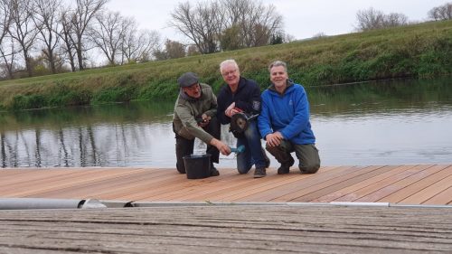 Stegaufbau November 2024